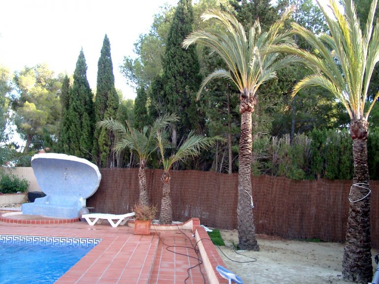 2014 11 03 pool bereich car 768x576