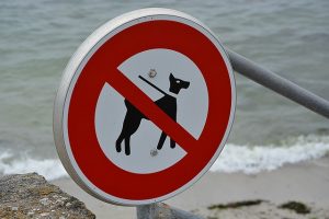 Costa Blanca Urlaub mit Hund Foto Holiday with dog - vacaciones con perro 18