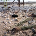 Altea Strand Spanien Costa Blanca Kinderspielplatz zerstört Sturm Gloria 03